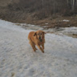 Meet your Posher, Shelly